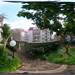 esterno giardino
